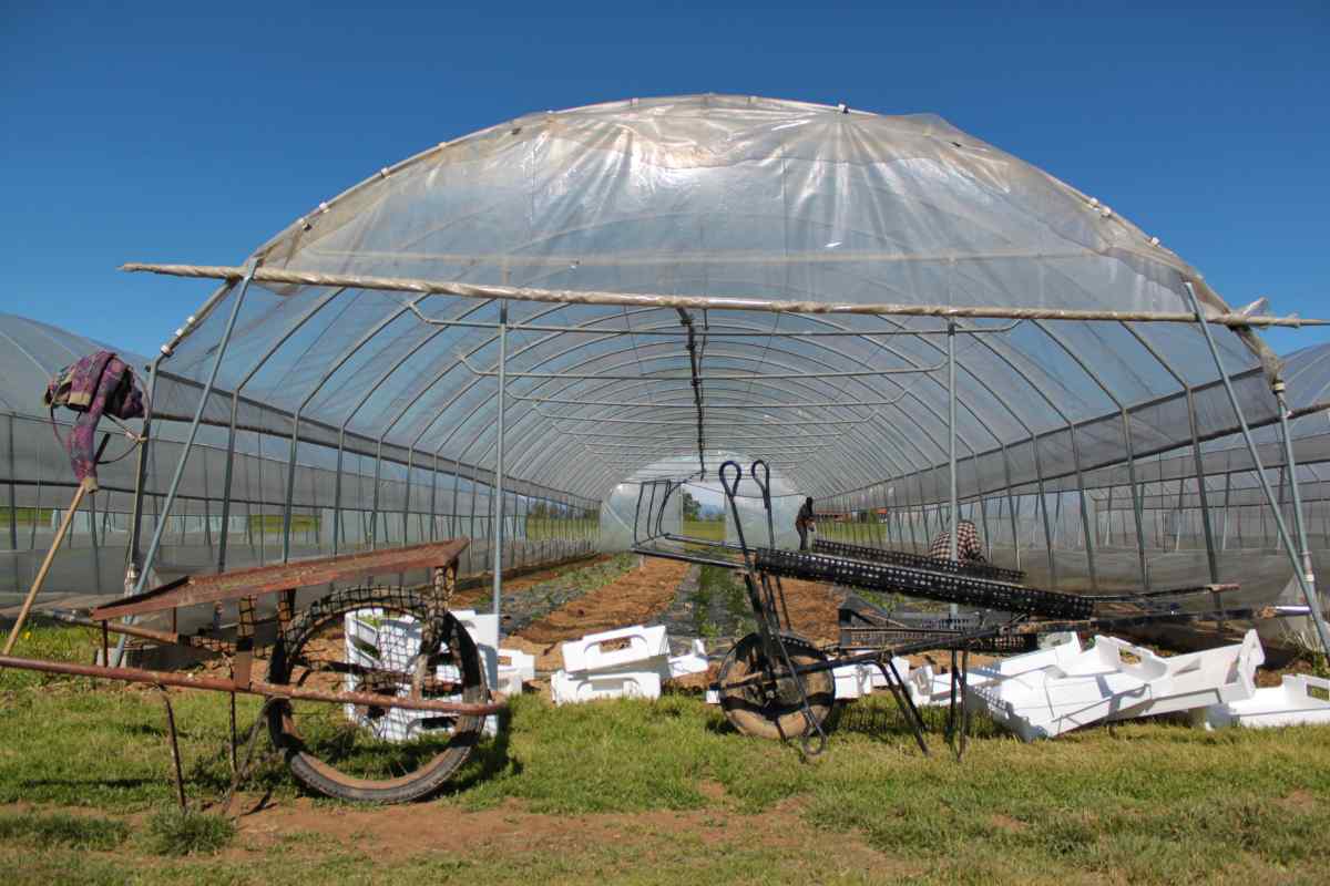 正確解讀ECFA對農漁業效應