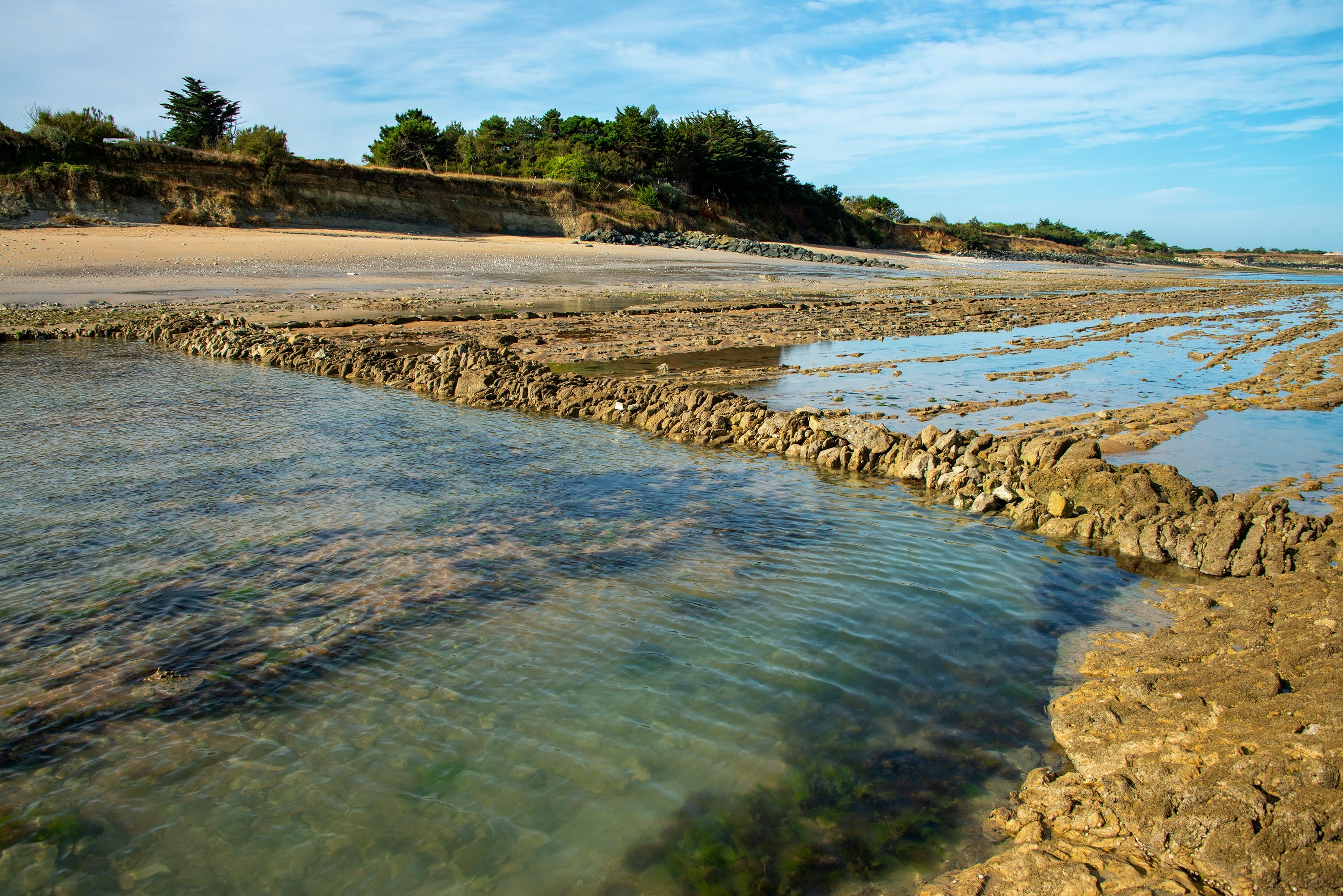 端視台灣沿海漁業的再生-人工魚礁（AFR)