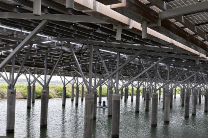 「魚電共生」變質成「光電寄生漁業」之探討