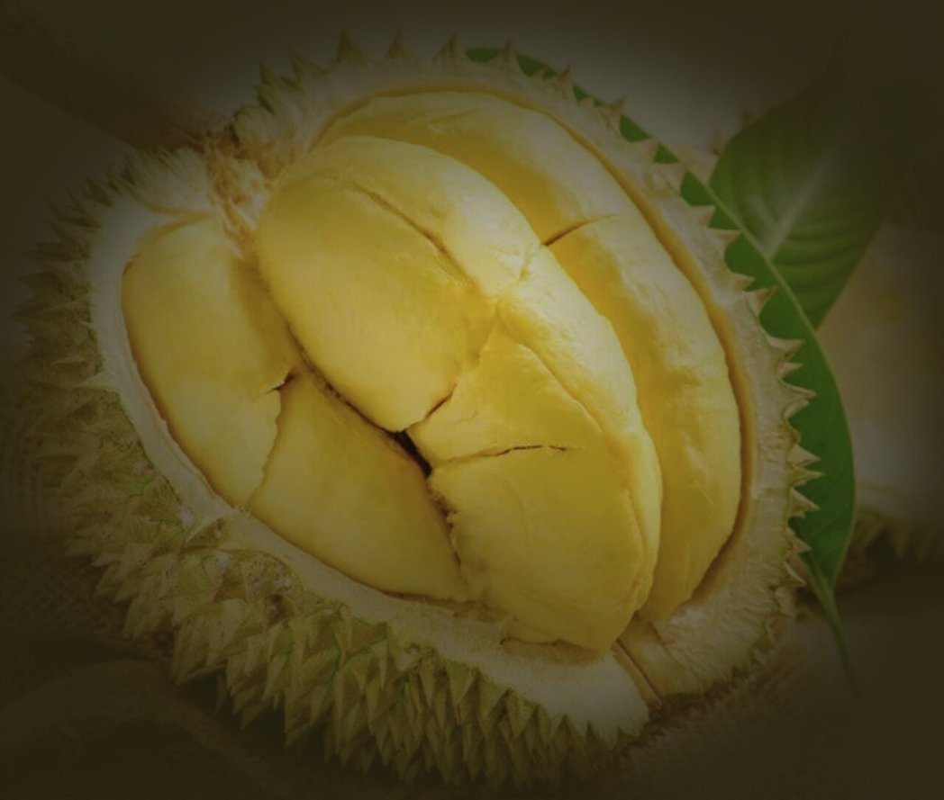 拒絕漂流數月的「殭屍榴槤」！亞恩灣國際陳今平：唯有現採直送7日內才能鎖住果王靈魂