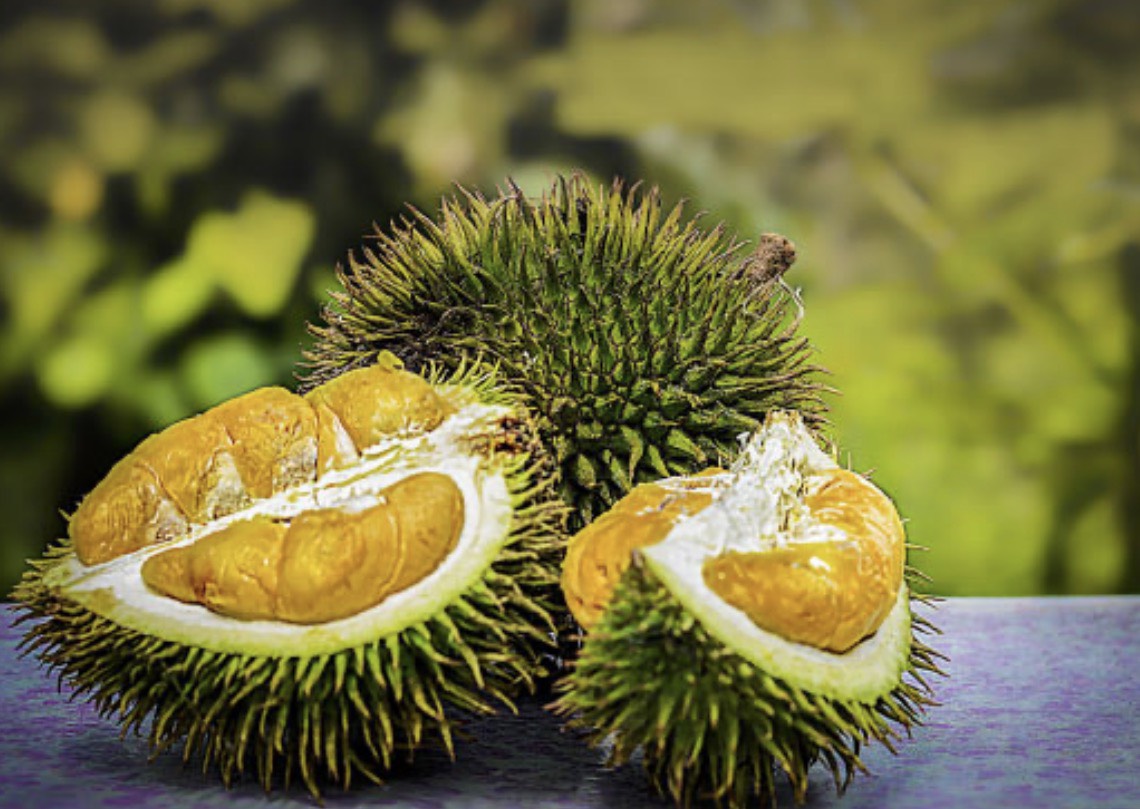 買榴槤別再盲選 徐邦浩：三招選出頂級A級品！