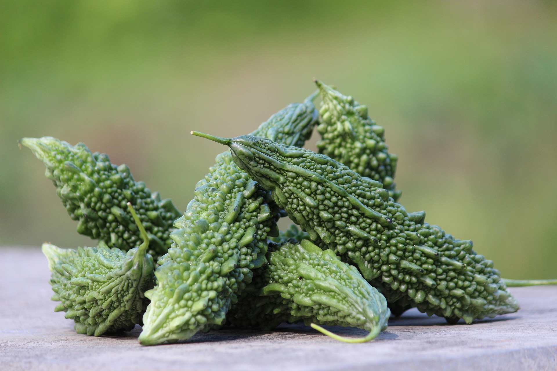 大熱天沒胃口？8月「苦味菜」逆襲餐桌！農會教你 3 招挑出爽脆降火的「退火神物」